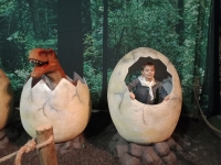 img20231206143539-kopiowanie-jpg1706818756